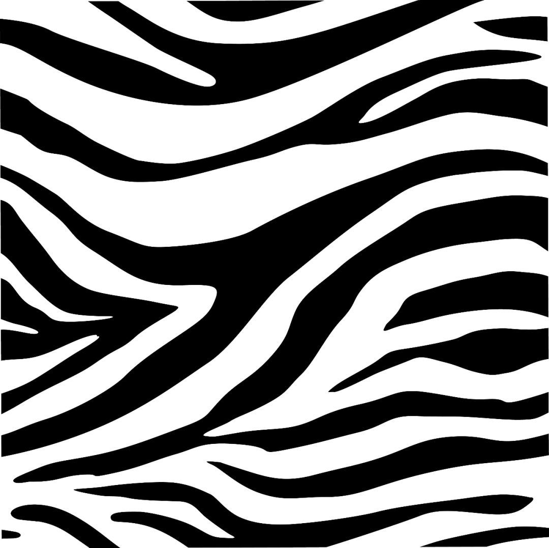 【人人科普】斑马是白色条纹的黑马还是黑色条纹的